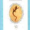 La copertina del libro di  Gianni Menichetti "La Salamandrina"