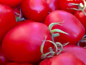 Il pomodoro Re Umberto