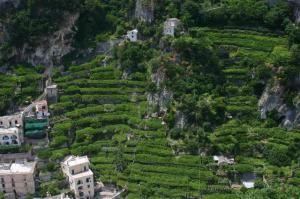 I terrazzamenti della Costiera amalfitana 