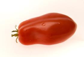 Pomodoro San Marzano 