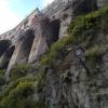 Dendroides fotografata ad Amalfi (foto MRS)