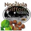 La copertina dello studio sulla Nocciola di Giffoni