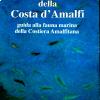 Roberto Sandulli, “Dentro al mare della Costa d'Amalfi" guida alla fauna marina della Costiera Amalfitana, Ecostiera edizioni