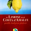 L'opuscolo sul limone Costa d'Amalfi Igp
