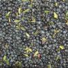 Le bacche di mirto