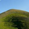 Riserva naturale Monti Eremita-Marzano, foto Massimo Gugliucciello 