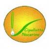 Il logo del Cipollotto Nocerino Dop