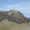 Oasi Wwf Monte Accellica foto Francesco Raffaele 