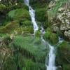 L'ambiente naturale dei Monti Lattari
