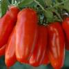 I pomodori San Marzano