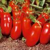 I pomodori San Marzano 