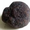 Il Tartufo nero di Colliano 